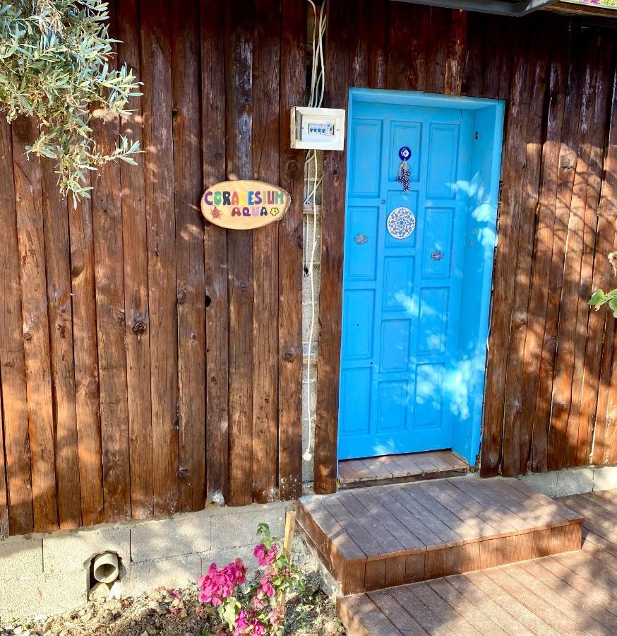 Zbb Stylish Villa & Bungalows Alanya Luaran gambar